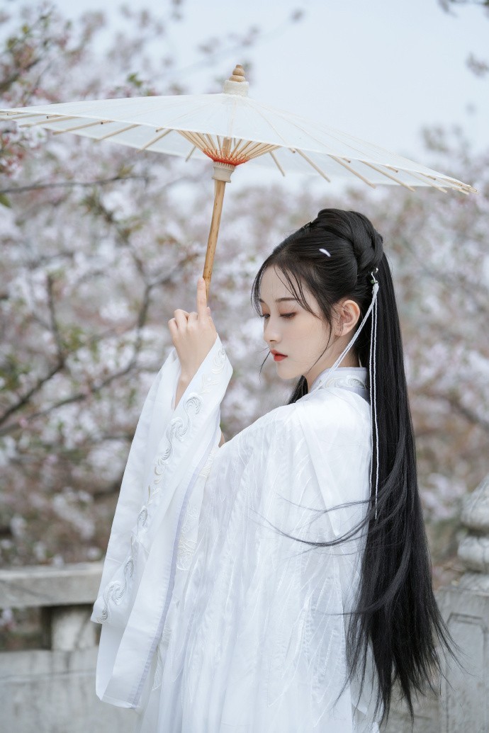 半岛