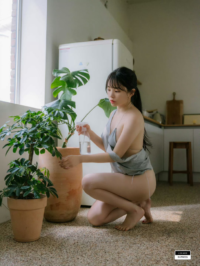 金秘书为何那样 封面